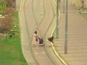 Turistlerin, tramvay yolunda canlarını hiçe saydıkları selfi çılgınlığı