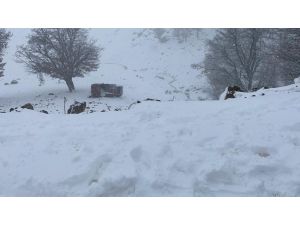 Konya’da Otomobil Devrildi: 5 Yaralı