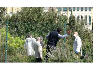 Hastane yerleşkesinde gizemli kemikler