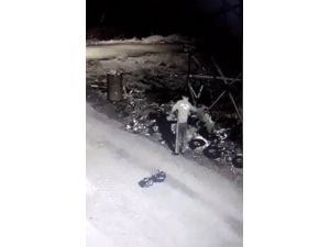 Tanınmamak İçin Maske Takan Hırsız, Maskeyi Çöpe Atarken Kameralara Yakalandı