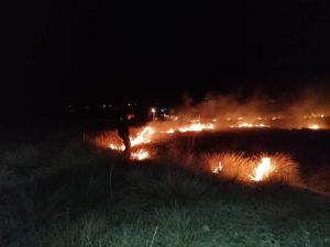 Kundaklanan Merada Çıkan Yangın Söndürüldü