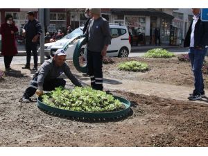 Korkuteli’ ilçesinde 11 bin çiçek toprakla buluştu