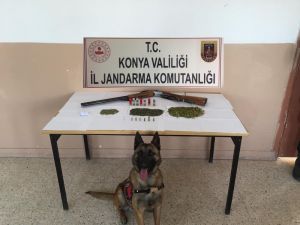 Jandarma’dan Uyuşturucu Operasyonu