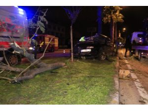 Adana’da Otomobil Refüjdeki Ağaçlara Çarptı: 3 Yaralı