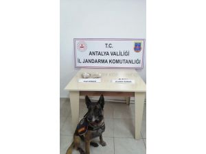 Çivi’nin tepki verdiği koltuktan uyuşturucu çıktı