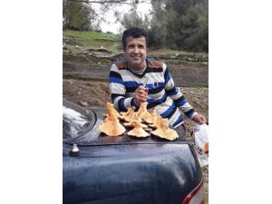 Çiriş otu toplamak için dağa giden adam ölü bulundu