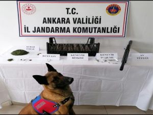 Ankara’da Uyuşturucu Operasyonu: 3 Kişi Yakalandı