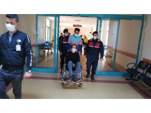4 Gün Çimen Yiyerek Hayatta Kaldı