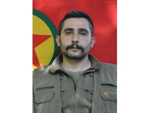 Eylem Hazırlığındaki Pkk’lı Hüseyin İnal Etkisiz Hale Getirildi