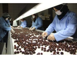 Kuru Meyve Üreterek Pandemi Döneminde Daha Da Büyüdüler