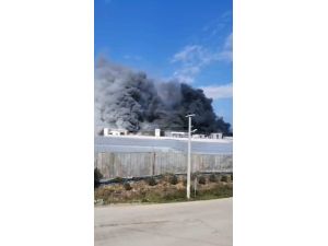Mersin’de Muz Sarartma Tesisinde Yangın