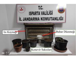 Evinde Yapay Isı, Işık Düzeneğiyle Kenevir Yetiştirdi, Jandarma Yakaladı