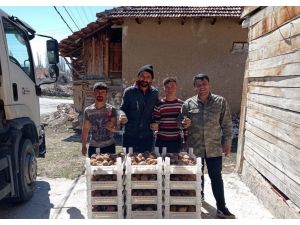 Biyolojik mücadele için Korkuteli’de patates yetiştirilecek