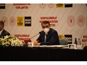 Bakan Dönmez: “Elektrik Ve Doğal Gazda Yatırım Hedefimiz 612 Milyon Lira”