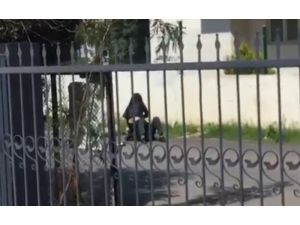 Kadın yere yatırdığı şahsı ’paramı ver’ diyerek darp etti