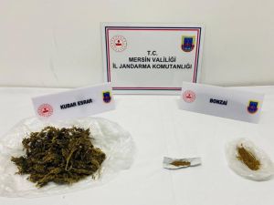 Silifke’de Uyuşturucu Operasyonu
