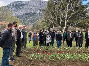 İbradı lale üretim merkezi haline gelecek