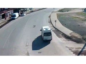 Çarptığı Köpeği Ölüme Terk Etti