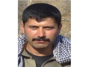 Şırnak’ta Pkk’ya Ağır Darbe