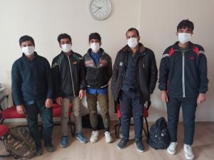 Afgan Uyruklu Mültecilerin Umuda Yolculuğu Osmaniye’de Son Buldu