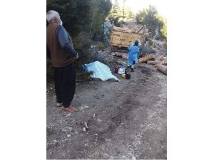 Kamyon İle Ağaç Arasında Sıkışan Sürücü Hayatını Kaybetti