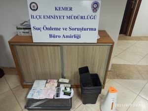 Şüpheli araçtan minyatür sera ve kenevir tohumu çıktı