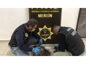 Motor Şanzımanına Uyuşturucu Yerleştirip, Kendilerine Kargoyla Yolladılar