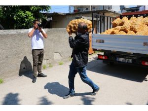 Adana’da İhtiyaç Sahiplerine Patatesler Dağıtılmaya Başlandı