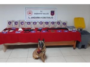 Çöp Kovasınıda 41 Kilo Eroin Ele Geçirildi