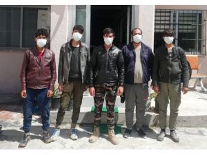 Mültecileri İstanbul Diye Osmaniye’de Otobüsten İndirdiler