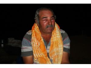 Keçilerini otlatan çoban arıların saldırısına uğradı