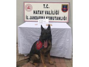 Öğrencilere Uyuşturucu Satan Şüpheli Tutuklandı