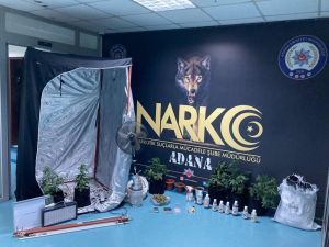 Yatak Odasındaki Bez Gardırop “Uyuşturucu Serası” Çıktı