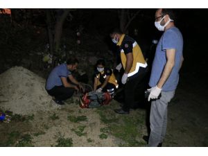 Babasını Ve Ağabeyini Öldürdü, Polise Teslim Oldu