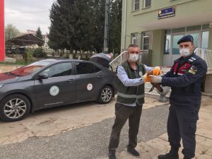 Az Rastlanan Yaralı Angut Kuşuna Jandarma Şevkati