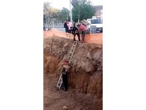 İnşaat çukurunda mahsur kalan köpek itfaiye operasyonuyla kurtarıldı
