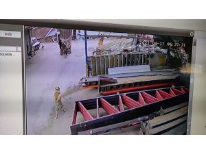 Her Sabah Hırsızlık Yapan Şahıslar Komşuya Yakalandı