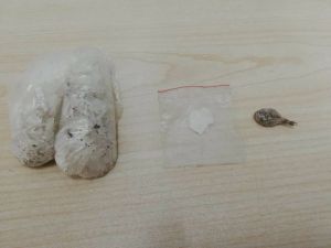 Narkotik Köpeği Sarik Affetmedi