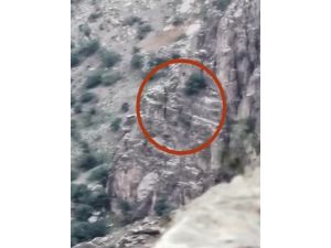 Pençe-yıldırım Operasyonu Sırasında 3 Pkk’lı Terörist Etkisiz Hâle Getirildi