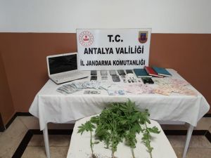 Alanya’da yasa dışı bahis operasyonu