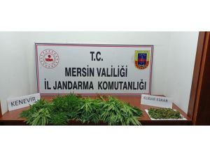 Mersin’de Uyuşturucu Operasyonu: 7 Gözaltı