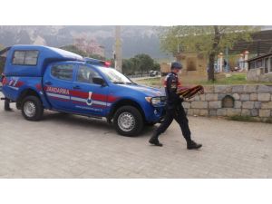 Caminin Sabah Çalınan Kilimleri Yatsı Namazında Geri Geldi