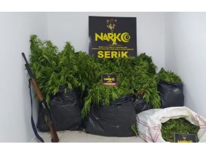 Uyuşturucu operasyonunda 5 tutuklama