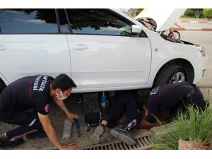 Araç motoruna sıkışan kediyi kurtarmak için seferber oldular