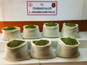Bakan Soylu Duyurdu: "Lice’de 221 Kilogram Esrar Ele Geçirildi"