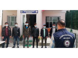 Afgan Uyruklu Mültecilerin Umuda Yolculuğu Osmaniye’de Son Buldu