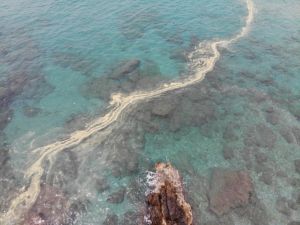 Alanya’da deniz salyası kıyılara vurdu