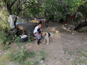 Antalya’da ölüme terk edilen köpeklere mahalleli sahip çıktı