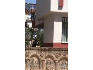 Kiracısına kızdı, 2 metrelik sopa ile saldırdı