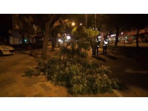 Fırtına Ağaçları Devirdi, Binaların Kaplamasını Uçurdu